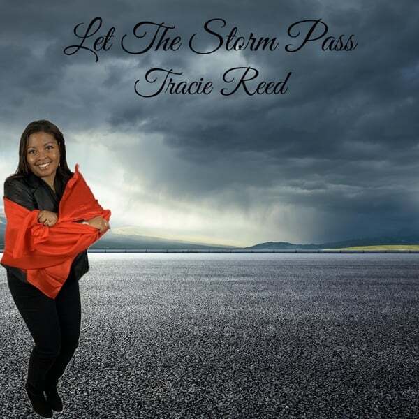 Cover art for Let The Storm Pass